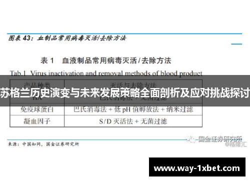 苏格兰历史演变与未来发展策略全面剖析及应对挑战探讨 苏格兰历史演变与未来发展策略全面剖析及应对挑战探讨