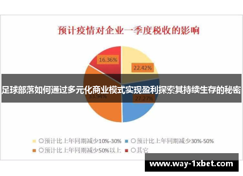 足球部落如何通过多元化商业模式实现盈利探索其持续生存的秘密 足球部落如何通过多元化商业模式实现盈利探索其持续生存的秘密