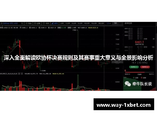 深入全面解读欧协杯决赛规则及其赛事重大意义与全景影响分析
