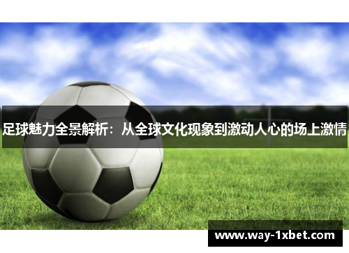 足球魅力全景解析：从全球文化现象到激动人心的场上激情