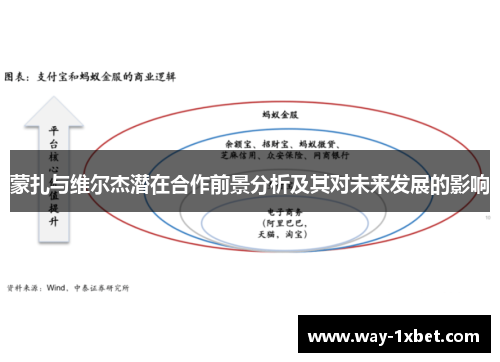 蒙扎与维尔杰潜在合作前景分析及其对未来发展的影响