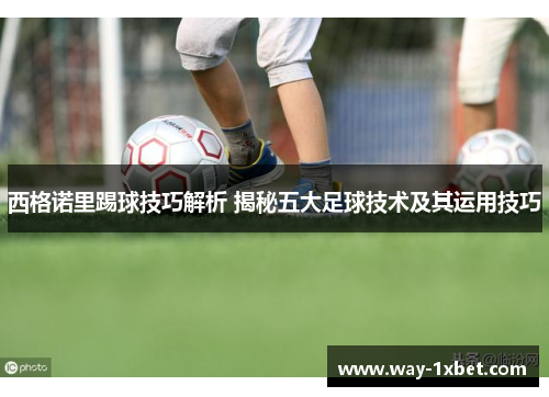 西格诺里踢球技巧解析 揭秘五大足球技术及其运用技巧